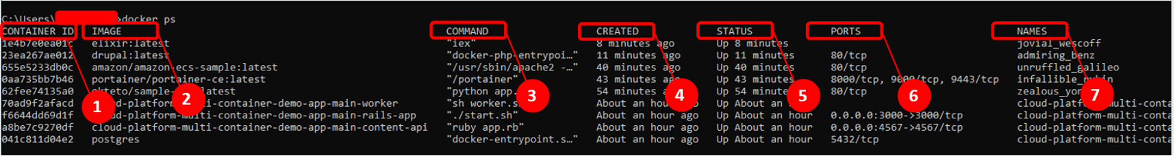 How To Know Container Id In Docker