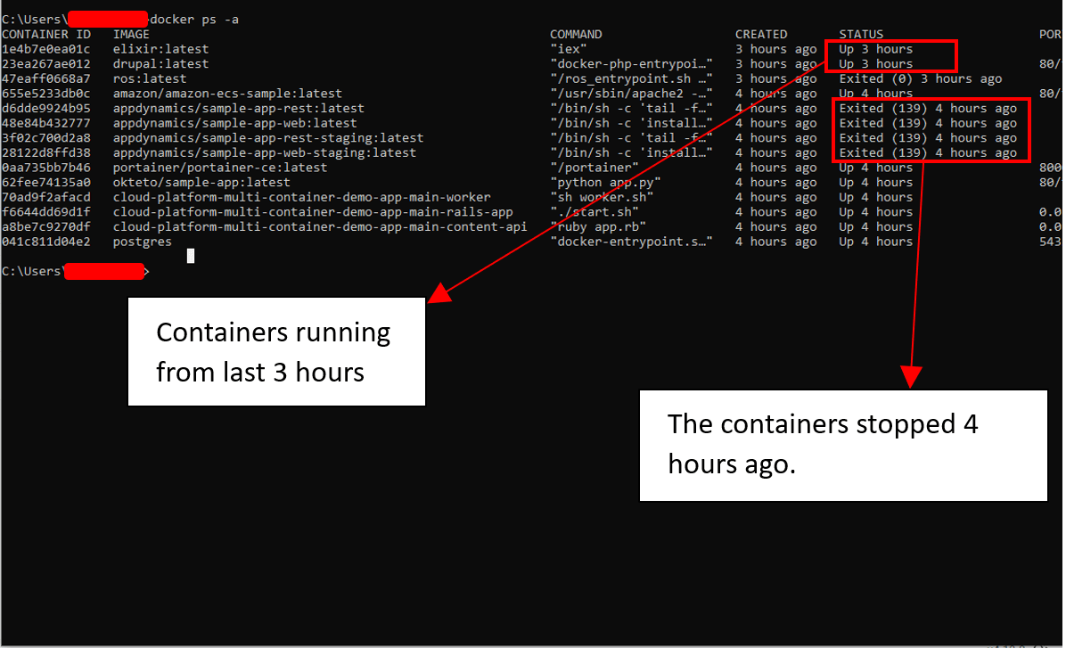 How to get container details in Docker?