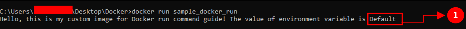 docker run command