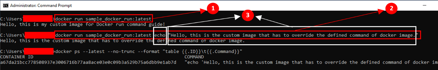 docker run command