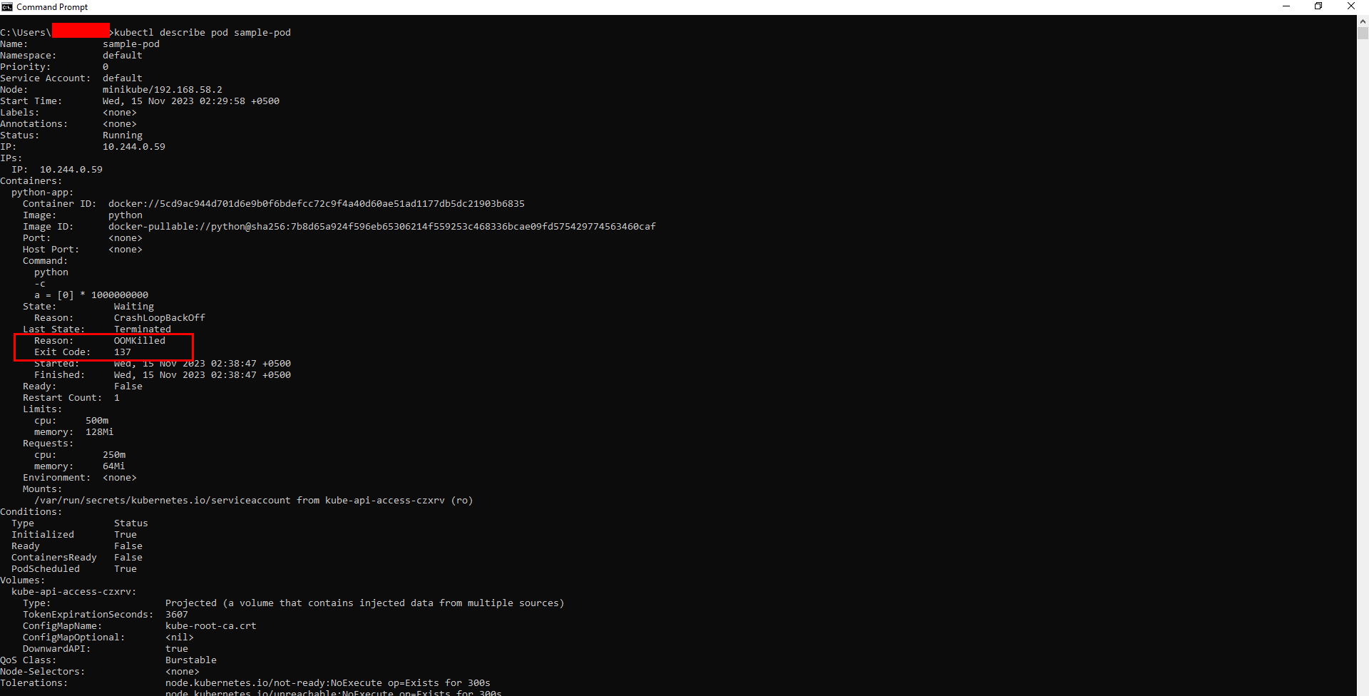 kubernetes exit code 137